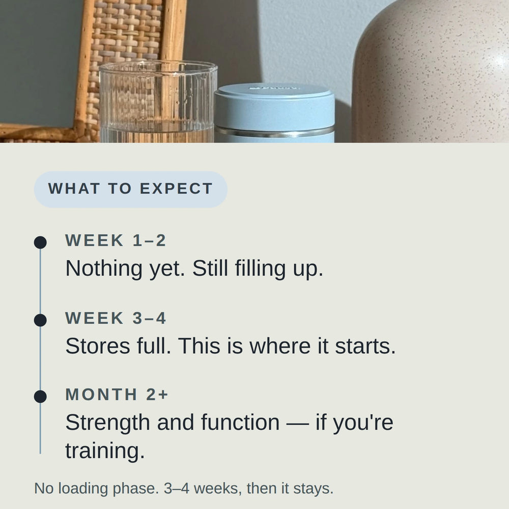 What to expect from Daily Creatine Support in weeks one to two, weeks three to four, and month two.