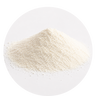 Women's Bone Support